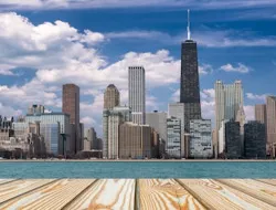 Chicago City Highlights: Small-Group Guided Tour with Entrance + Transfer